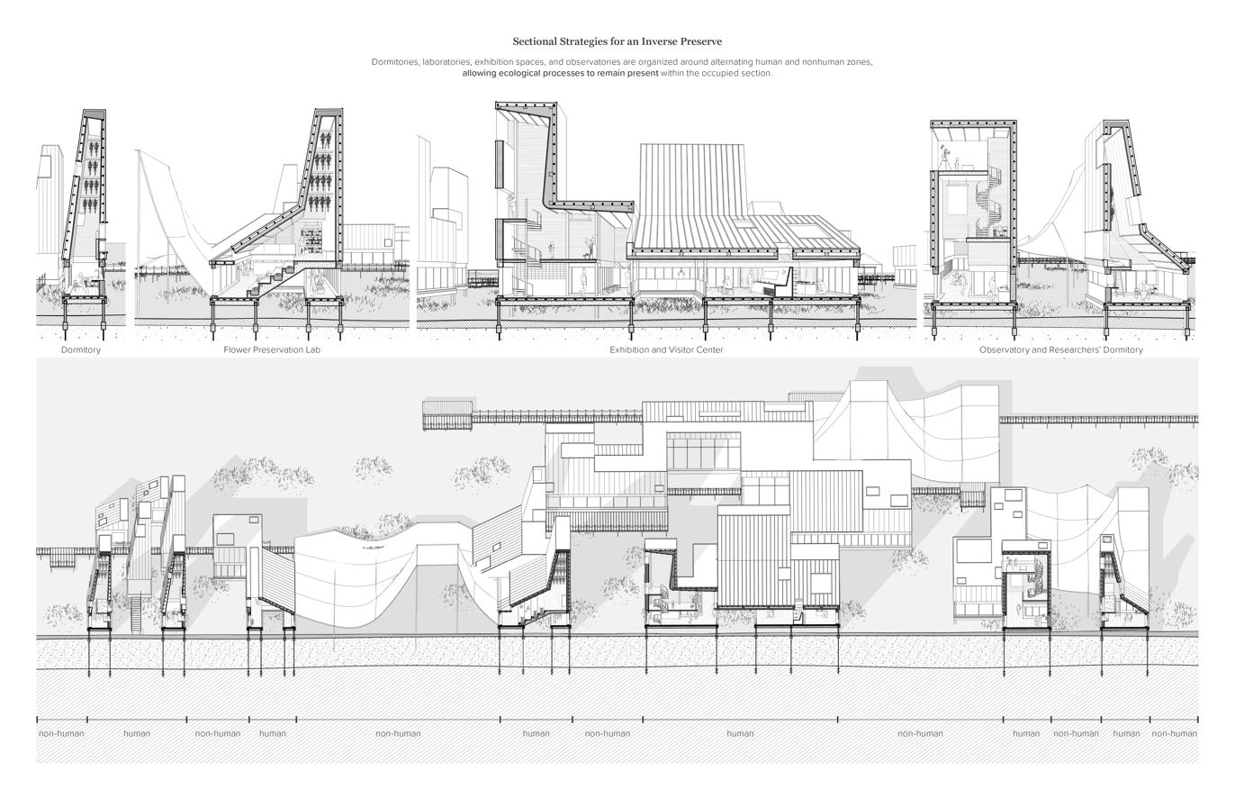 Shadow Archive: Inverse Preserve — sheet 4 of 4